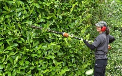 Creating Your Perfect Outdoor Space: Expert Garden Care Tips from Wilmslow Gardeners